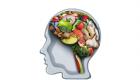 اینفوگرافیک | هفت خوراکی مضر برای مغز انسان