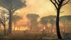 France : encore un feu de forêt, cette fois à Queyrac