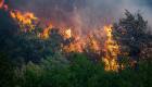 France: un incendie ravage plus de 700 hectares entre la Lozère et l'Aveyron