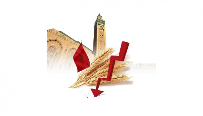 التراجع كبير بمحصول القمح المغربيعين الإخبارية