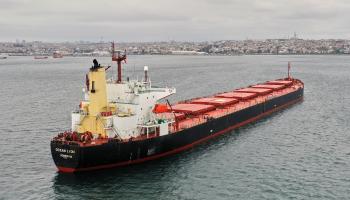 ویدئو | بزرگترین کشتی حامل غلات اوکراینی به ترکیه رسید