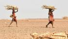 Somalie : plus d'un million de personnes déplacées par la sécheresse