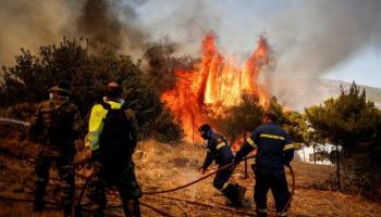 Fransa orman yangınlarıyla mücadele ediyor