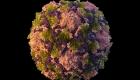 New York: Détection du virus de la polio dans les eaux usées