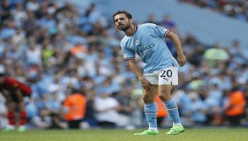 بيرناردو سيلفا 