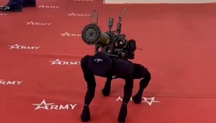 الكلب الروبوت صائد الدبابات