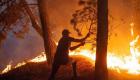 Algérie: Plusieurs feux de forêt ravagent le nord du pays