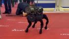 ویدئو | رونمایی از سگ رباتیک روسی با قابلیت موشک اندازی