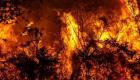 Algérie : 26 morts à cause d'incendies touchant 14 départements