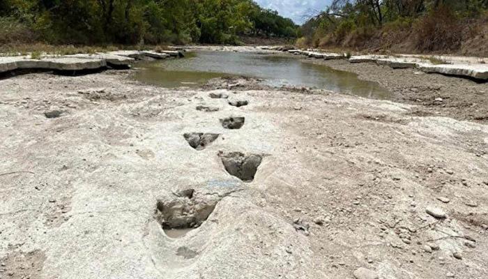 ABD’de 113 milyon yıllık dinozor ayak izleri ortaya çıktı