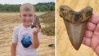 کشف فسیل چند میلیون ساله دندان یک کوسه غول‌پیکر در کارولینای جنوبی