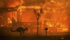 "وسّعت طبقة الأوزون".. دراسة تكشف الأثر المدمر لحرائق أستراليا 2019