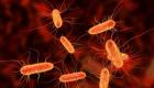 "البكتيريا الإشريكية القولونية" تتفاقم في أمريكا.. 47 إصابة جديدة
