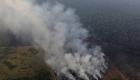 Le Brésil atteint un nombre record d'incendies en Amazonie depuis 15 ans