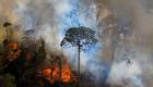 حریق گسترده در آمازون: ریه‌های جهان در آتش می‌سوزند