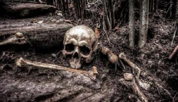العثور على هيكل عظمي في البرتغال - أرشيفية