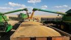 مصر توافق على تسلم 63 ألف طن من القمح المستورد على مسؤولية المورد الروسي