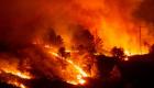 AB’de yangınlarda bu yıl 750 bin hektar alan kül oldu