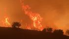 Mersin'deki orman yangını sürüyor: Kara yolu ulaşıma kapandı