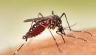 Paludisme: les résultats d'un vaccin suscitent l'espoir d'un déploiement massif