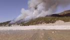 Muğla-Denizli il sınırında orman yangını
