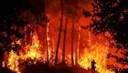 حرائق غابات جديدة تندلع في جنوب فرنسا