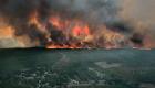 ویدئو | مهار آتش سوزی جنگلی در جنوب غربی فرانسه 