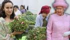 Türk çiçekçiler, Kraliçe II. Elizabeth’in cenazesi için verilen siparişlere yetişemiyor