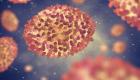Ukraine : Premier cas de variole du singe 