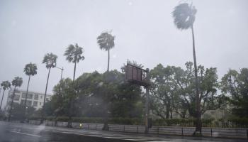 Japon : Des milliers de personnes se réfugient dans des abris à l’approche d’un typhon... Une alerte Tsunami aussi lancée