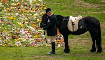 Funérailles d'Elizabeth II: Emma, le cheval de la reine ainsi que Muick et Sandy ses corgis ont pris part aux hommages 