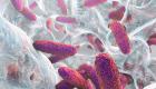 "طفرة صامتة" تمنح البكتيريا القوة لمقاومة المضادات الحيوية