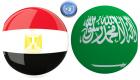 بينها السعودية ومصر.. أولى الدول العربية انضماما للأمم المتحدة