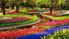 كيوكينهوف أجمل حديقة في هولندا.. روعة الطبيعة "صور"