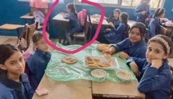 الصورة المتداولة 