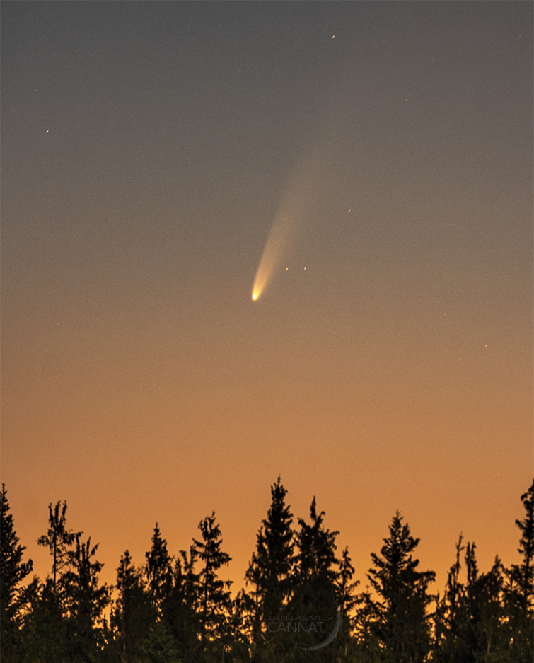 la comète C/2020 F3 (NEOWISE) en 2020
