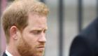 TF1: La chaîne diffusera un interview inédit du prince Harry 