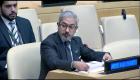 الإمارات بمجلس الأمن.. إدانة للاقتحامات الإسرائيلية ودعوة لدفع عملية السلام