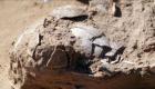 کشف ۸ تخم شترمرغ با قدمت ۴۰۰۰ تا ۷۵۰۰ سال در اسرائیل