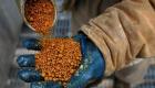 الصين تثير غضب أمريكا بقرار  "الحبوب المقطرة".. هل تشتعل حرب التجارة؟
