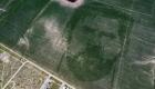 Un agriculteur dessine le visage de Messi dans un champ de maïs
