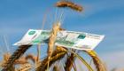 الدفع بالروبل.. هل يؤمن الجنيه إمدادات مصر من القمح الروسي؟