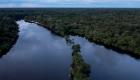 دراسة صادمة.. البشر والجفاف دمرا ثلث غابات الأمازون