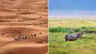أدلة مناخية من الماضي.. الصحراء الكبرى "منطقة خضراء"!
