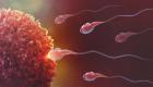 Les changements climatiques ont-ils réellement un impact sur la baisse de la fertilité ?