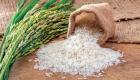 الهند تستثني مصر من قرار حظر تصدير الأرز.. لماذا؟