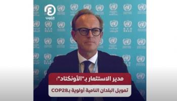 مدير الاستثمار بـ