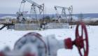 L'Allemagne défie les sanctions européennes en continuant d'importer du pétrole russe