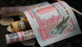 نمو مطرد للقطاع المصرفي الإماراتي- وام