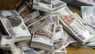 سعر الجنيه المصري مقابل عملات البريكس اليوم الأربعاء 25 أكتوبر 2023